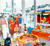 Tiruvengadu 83rd Annual Vedaparayanam & Vishesha Homangal images