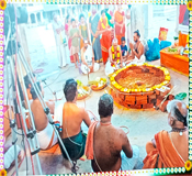 Tiruvengadu 83rd Annual Vedaparayanam & Vishesha Homangal images